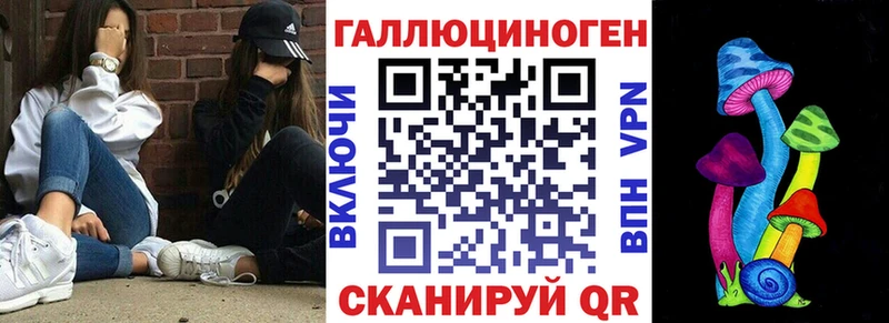 ОМГ ОМГ как войти  Димитровград  Галлюциногенные грибы GOLDEN TEACHER 