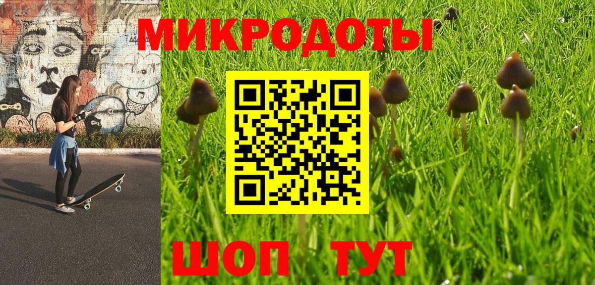 Псилоцибиновые грибы прущие грибы  Вход с VPN  Димитровград 