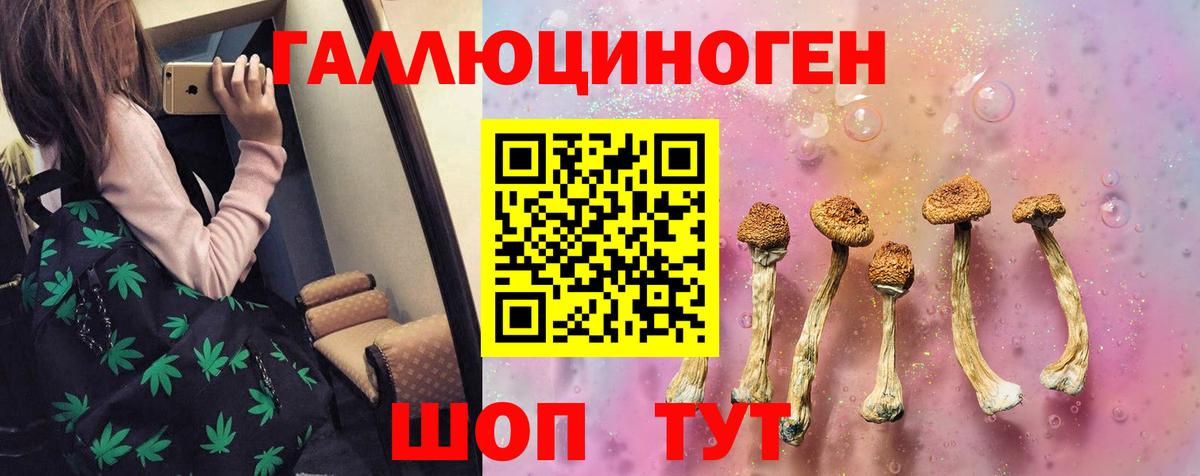 Галлюциногенные грибы Psilocybe Димитровград